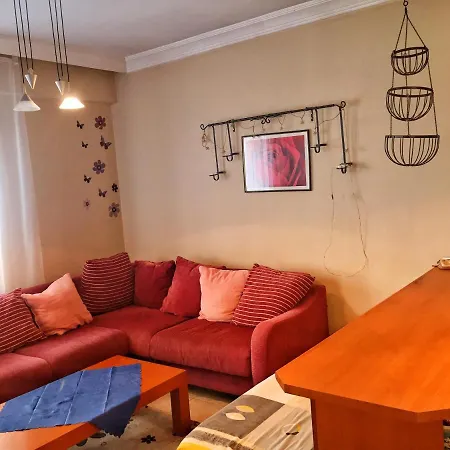 Apartament Hasnur *